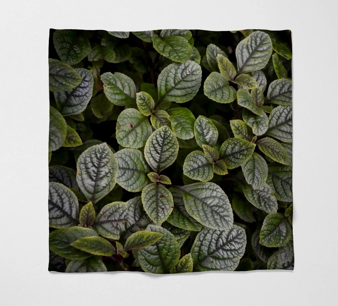 Leaf Symphony Fleecedecke von somewhere.soul.escape