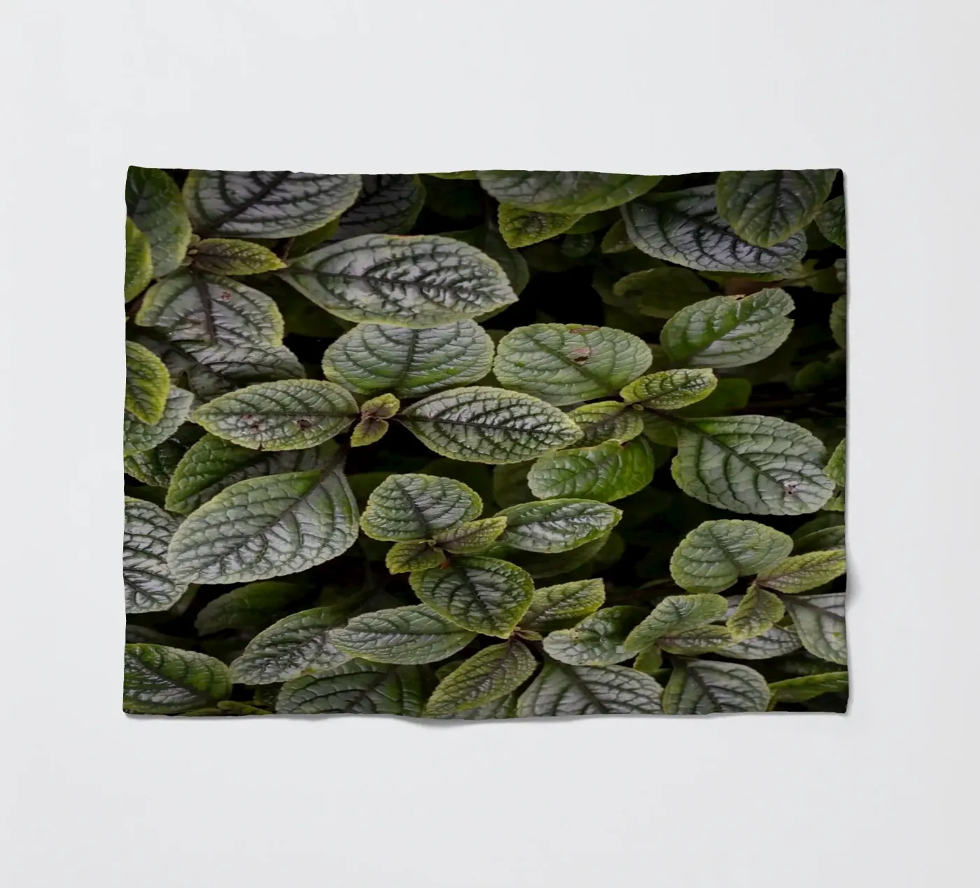 Leaf Symphony Fleecedecke von somewhere.soul.escape