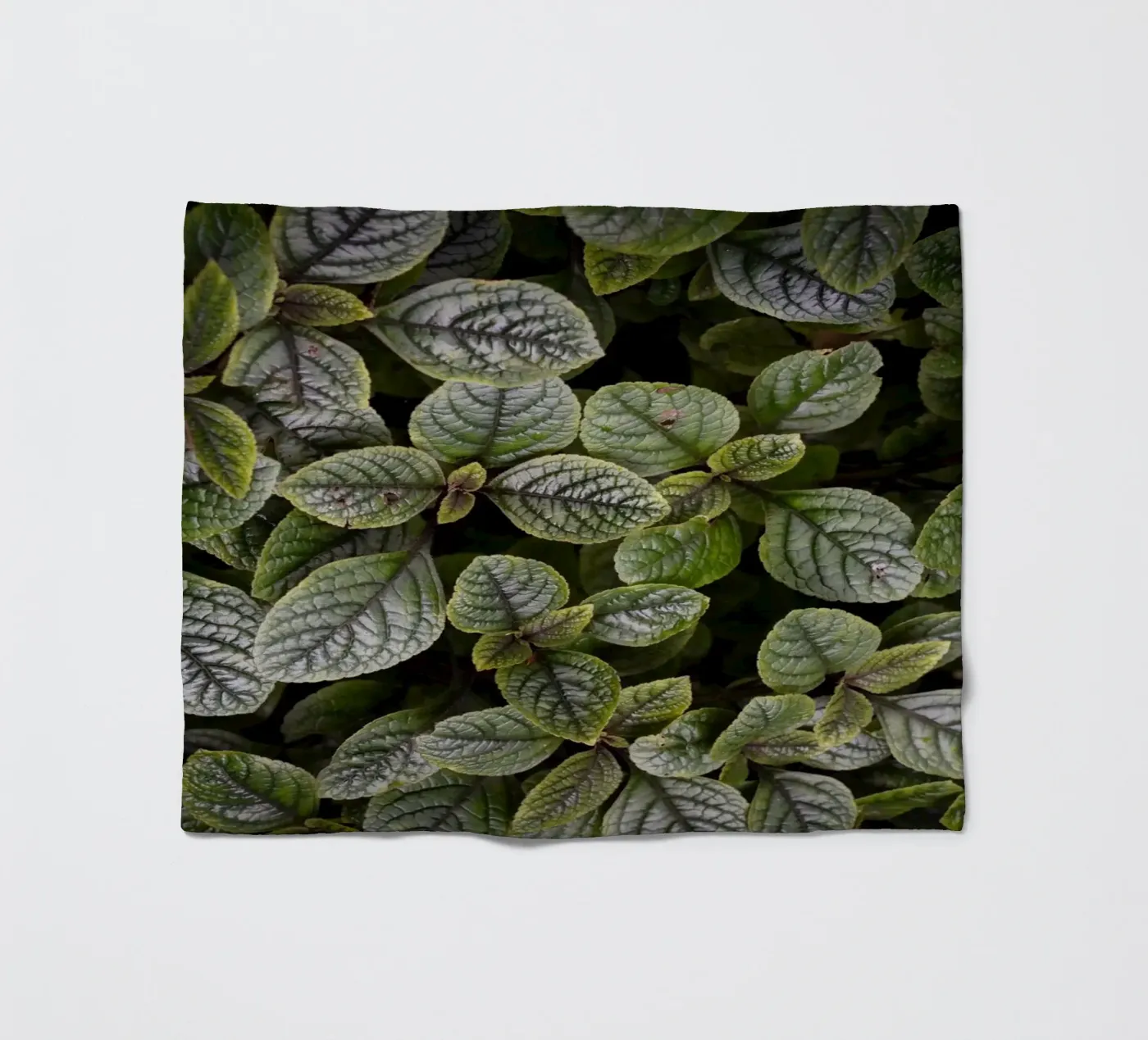 Leaf Symphony Fleecedecke von somewhere.soul.escape