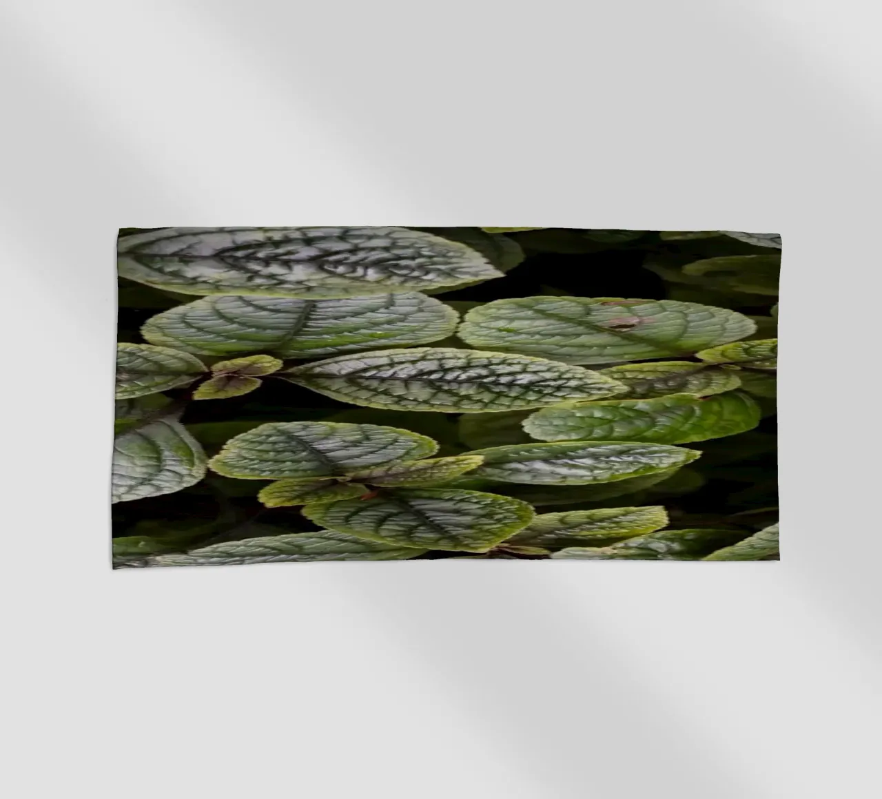 Leaf Symphony telo mare da somewhere.soul.escape