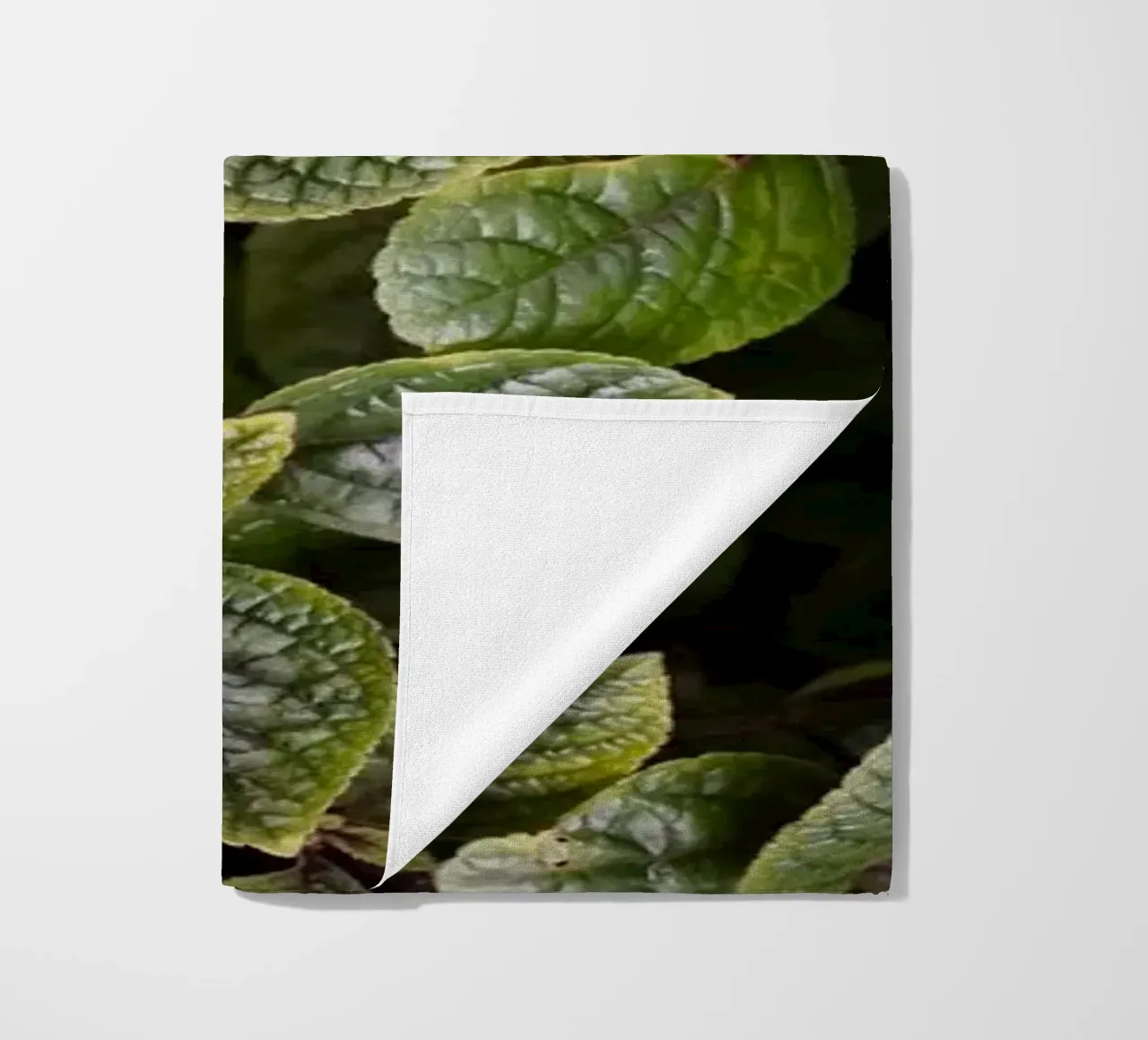 Leaf Symphony telo mare da somewhere.soul.escape