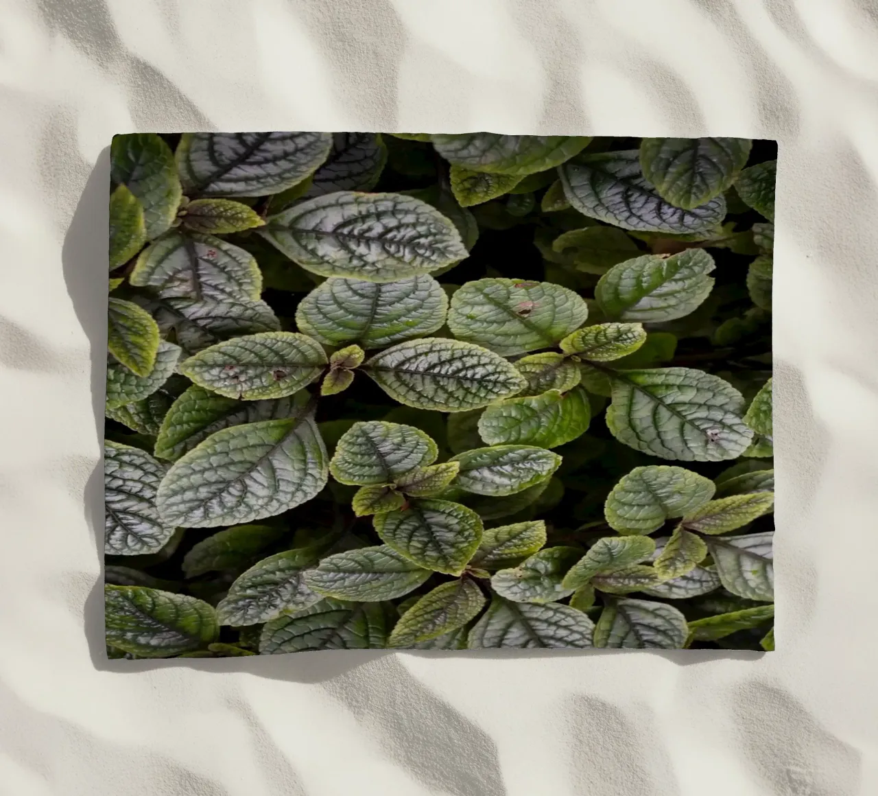 Leaf Symphony telo mare da somewhere.soul.escape