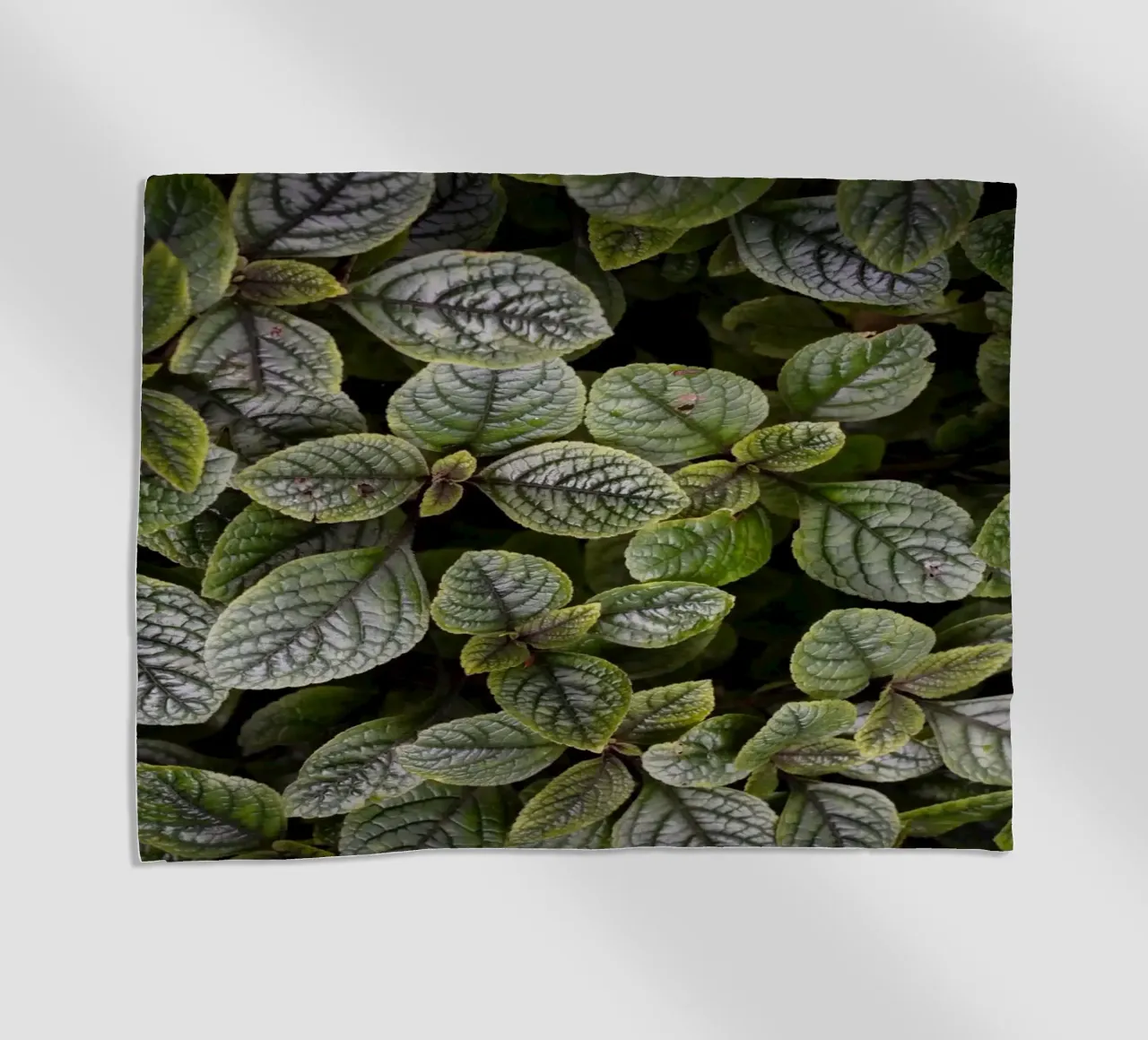 Leaf Symphony telo mare da somewhere.soul.escape