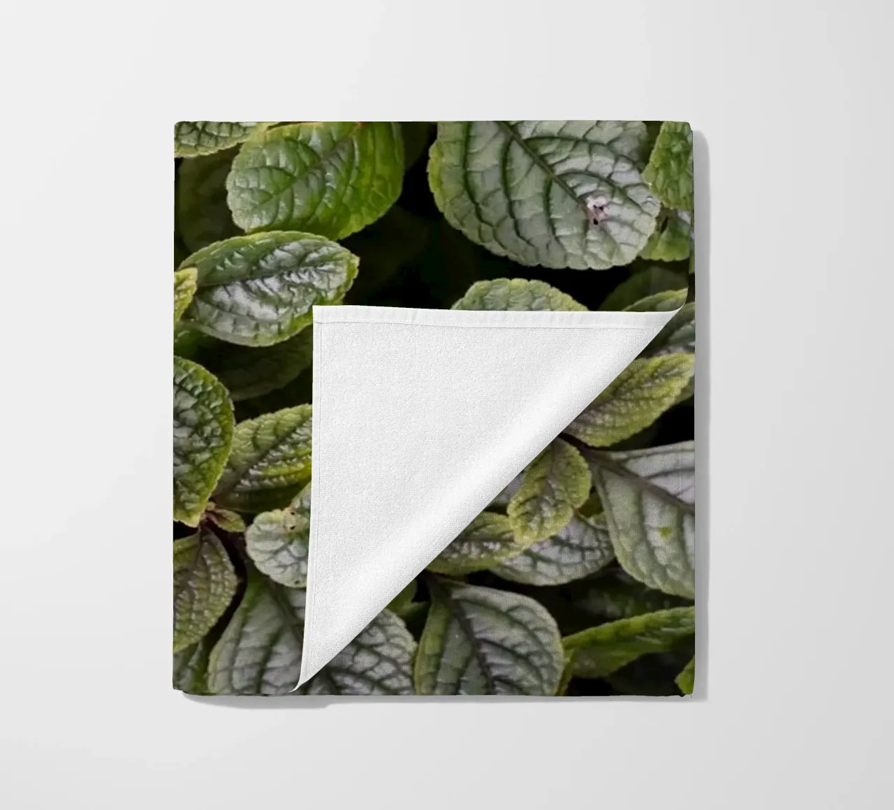 Leaf Symphony telo mare da somewhere.soul.escape