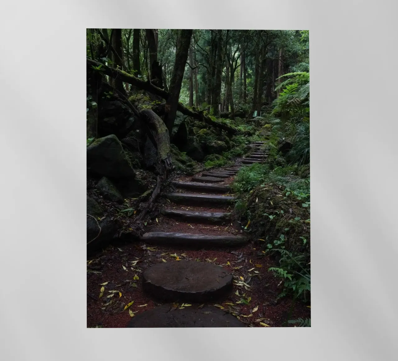 Path of Whispers pellicola backlit da somewhere.soul.escape