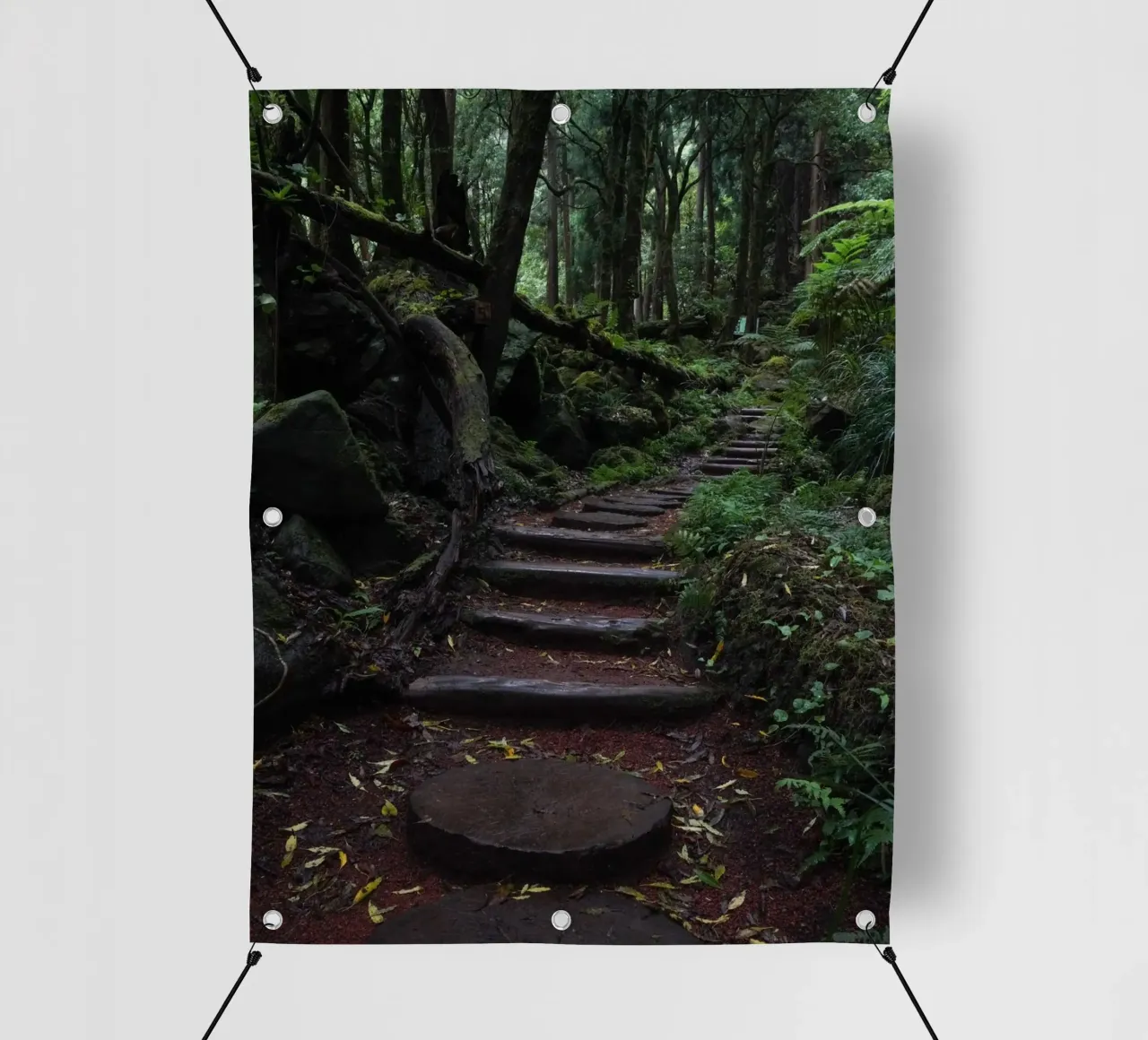 Path of Whispers telo in pvc da somewhere.soul.escape