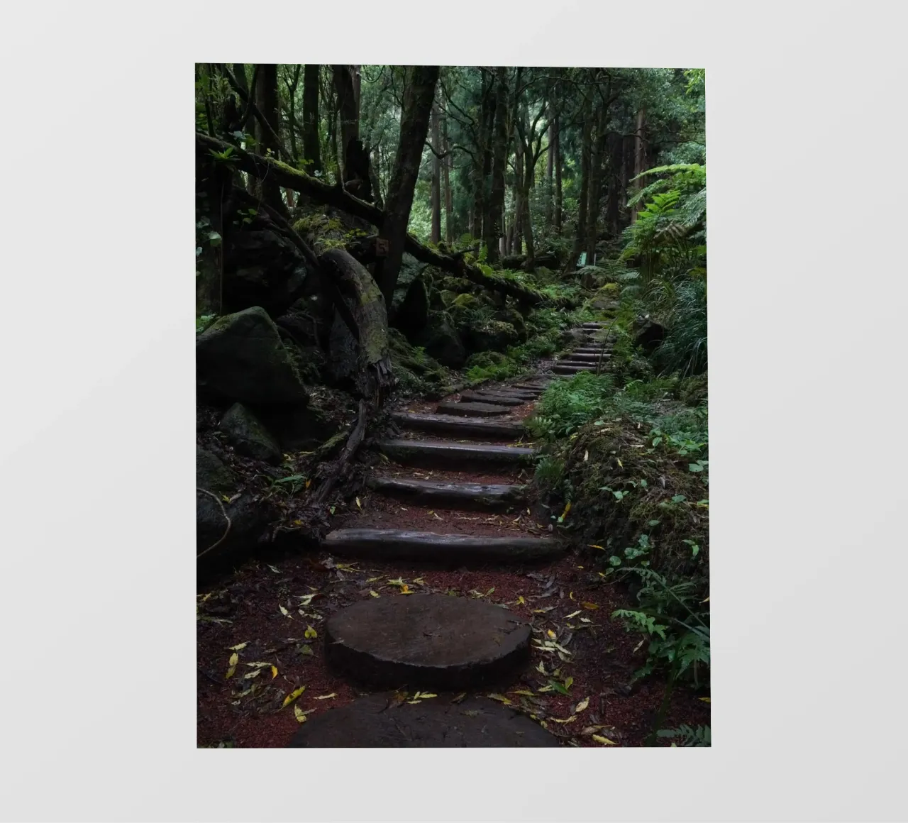 Path of Whispers telo in pvc da somewhere.soul.escape