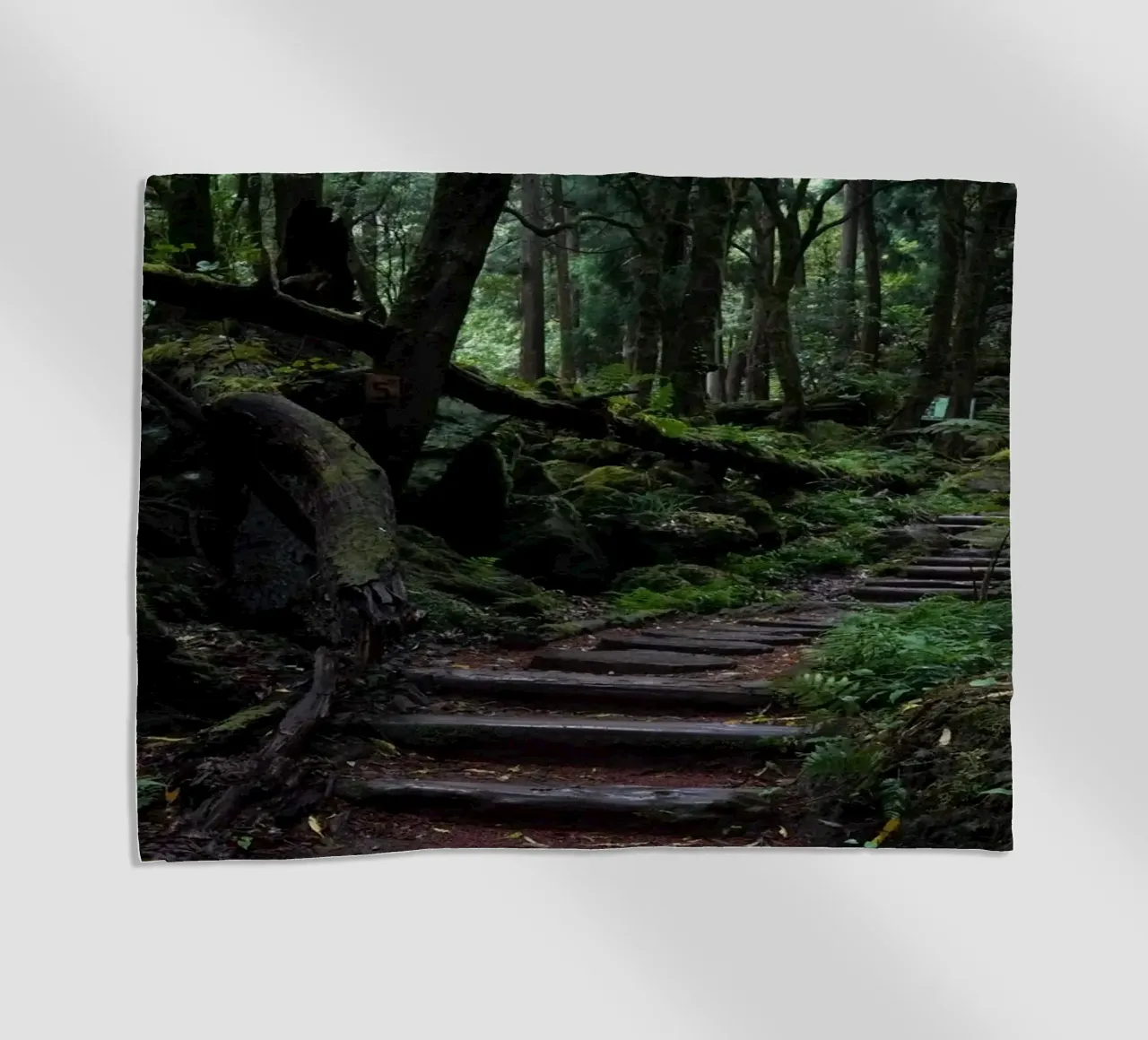 Path of Whispers telo mare da somewhere.soul.escape