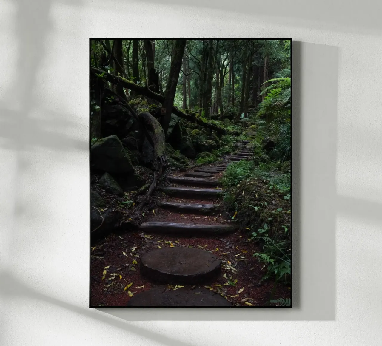 Path of Whispers plexiglass da somewhere.soul.escape