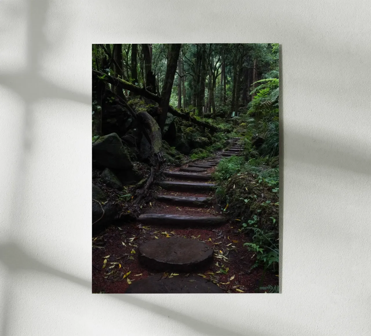 Path of Whispers plexiglass da somewhere.soul.escape