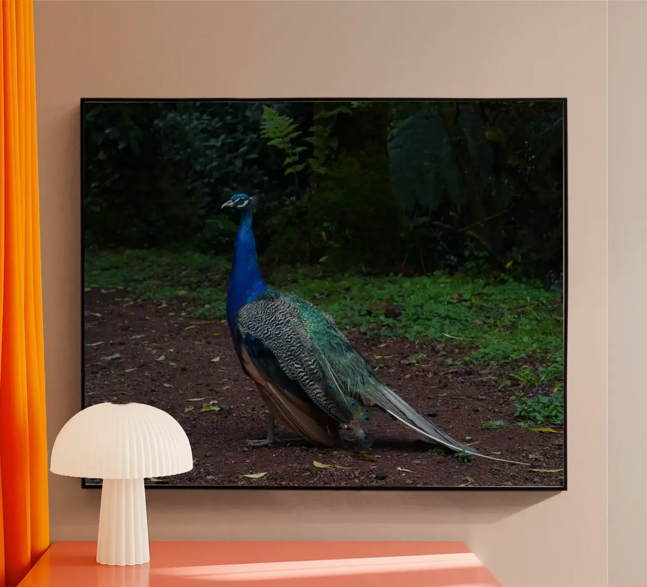 Feathered Grace plexiglass da somewhere.soul.escape