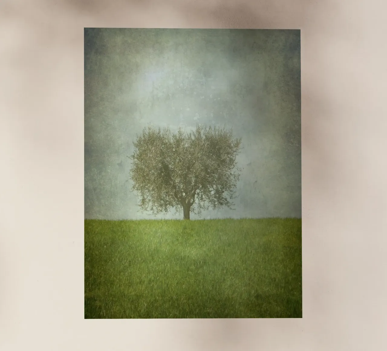 Lone Olive Tree pellicola backlit da ArtSkratches