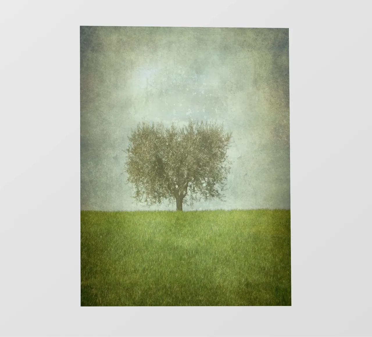 Lone Olive Tree telo in pvc da ArtSkratches