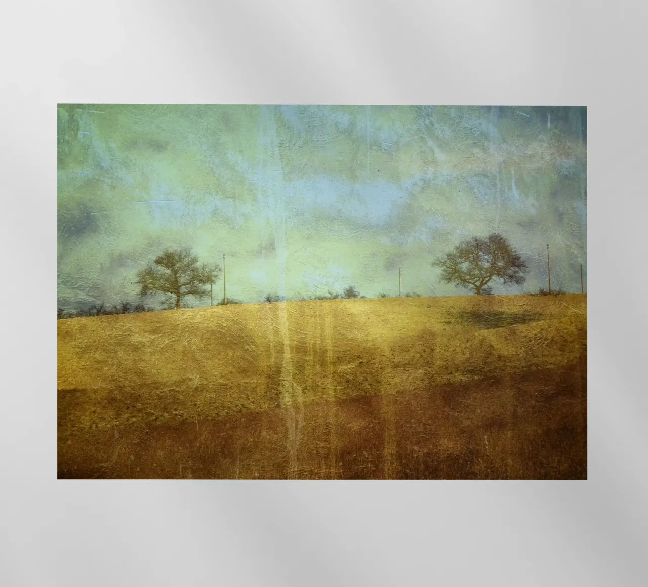 Two Trees pellicola backlit da ArtSkratches