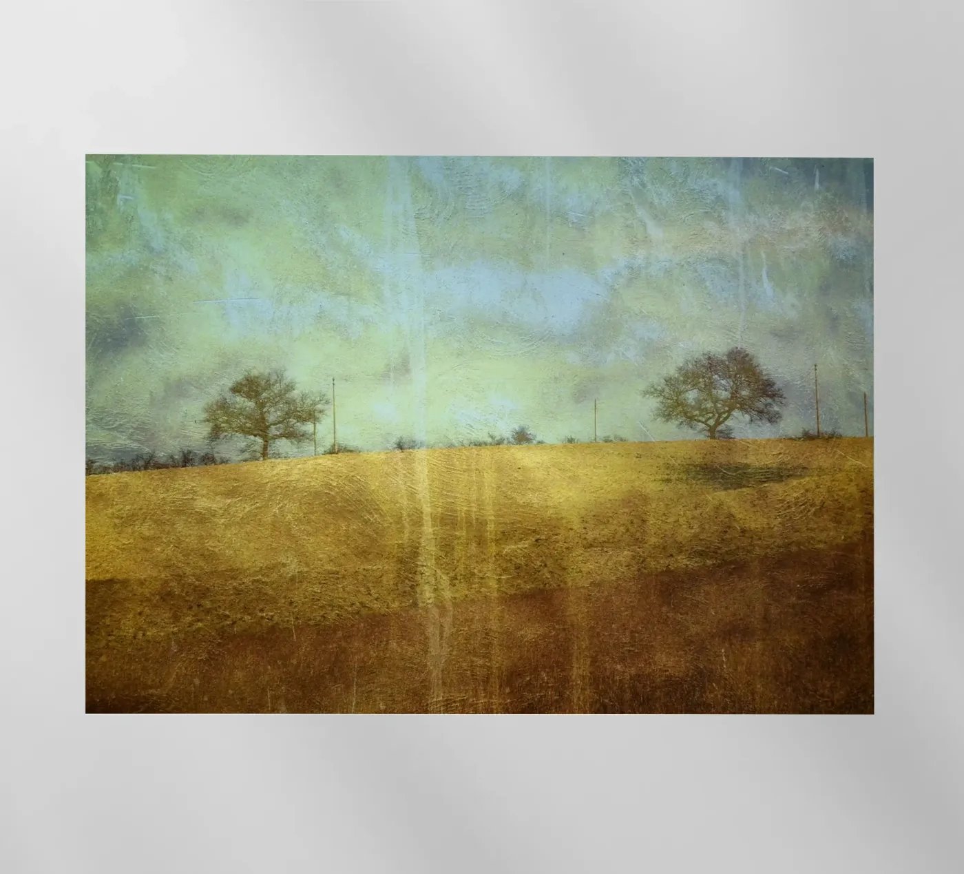 Zwei Bäume Backlit Folie von ArtSkratches