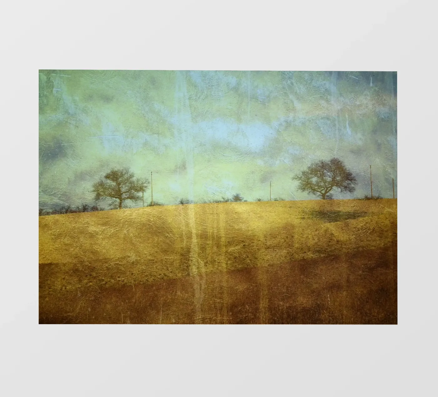 Zwei Bäume Backlit Folie von ArtSkratches