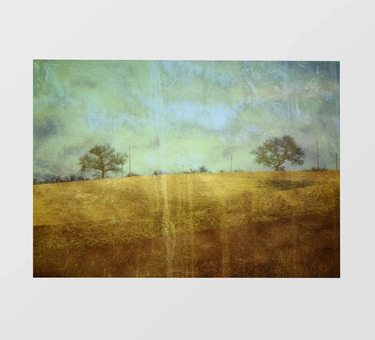 Two Trees pellicola backlit da ArtSkratches