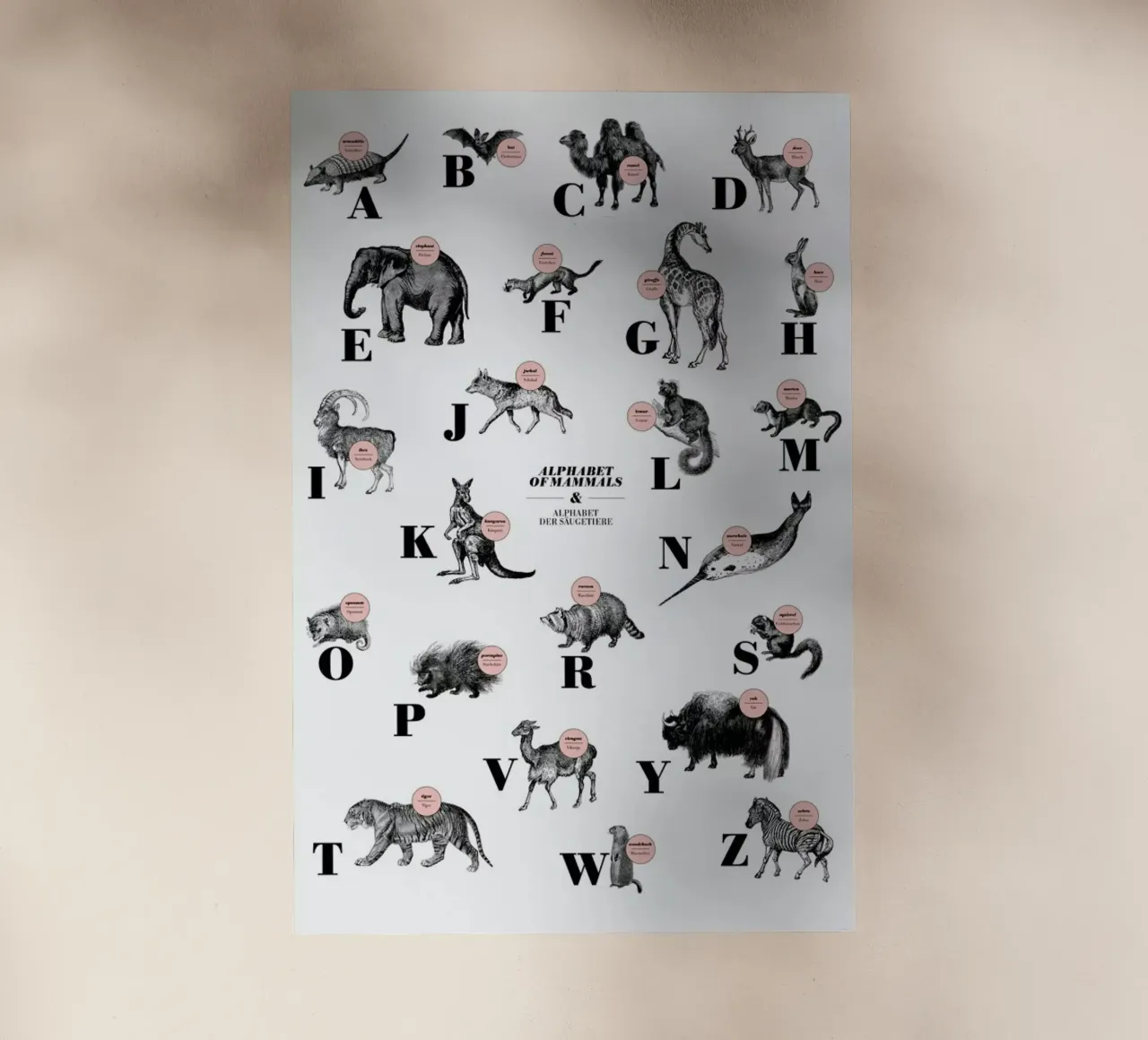 alphabet of mammals, animal ABC pellicola backlit da The True Type