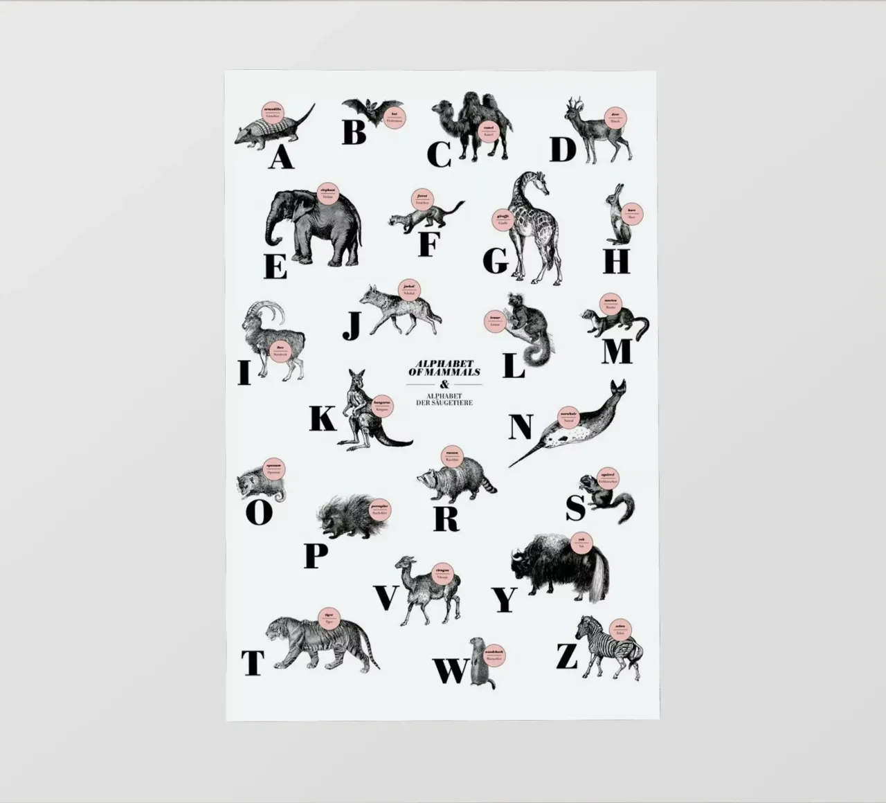 alphabet of mammals, animal ABC telo in pvc da The True Type