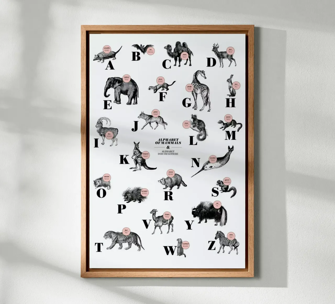 alphabet of mammals, animal ABC canvas met Baklijst van The True Type