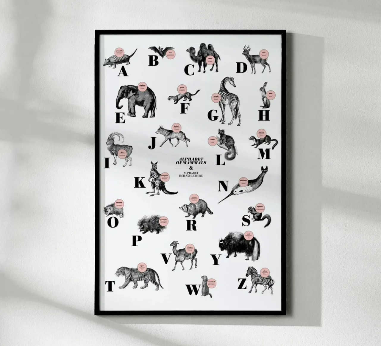 alphabet of mammals, animal ABC poster con telaio in legno da The True Type
