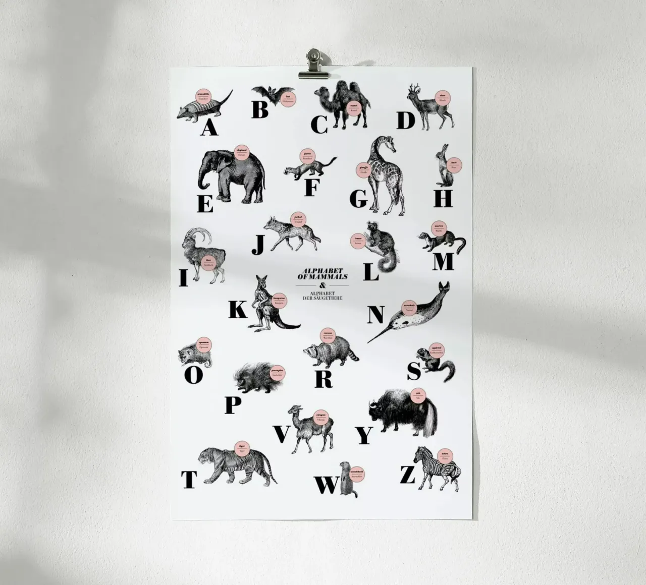 alphabet of mammals, animal ABC poster con telaio in legno da The True Type