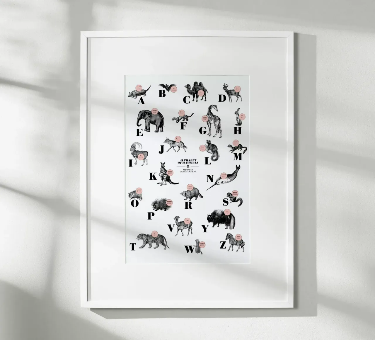 alphabet of mammals, animal ABC poster con telaio in legno da The True Type