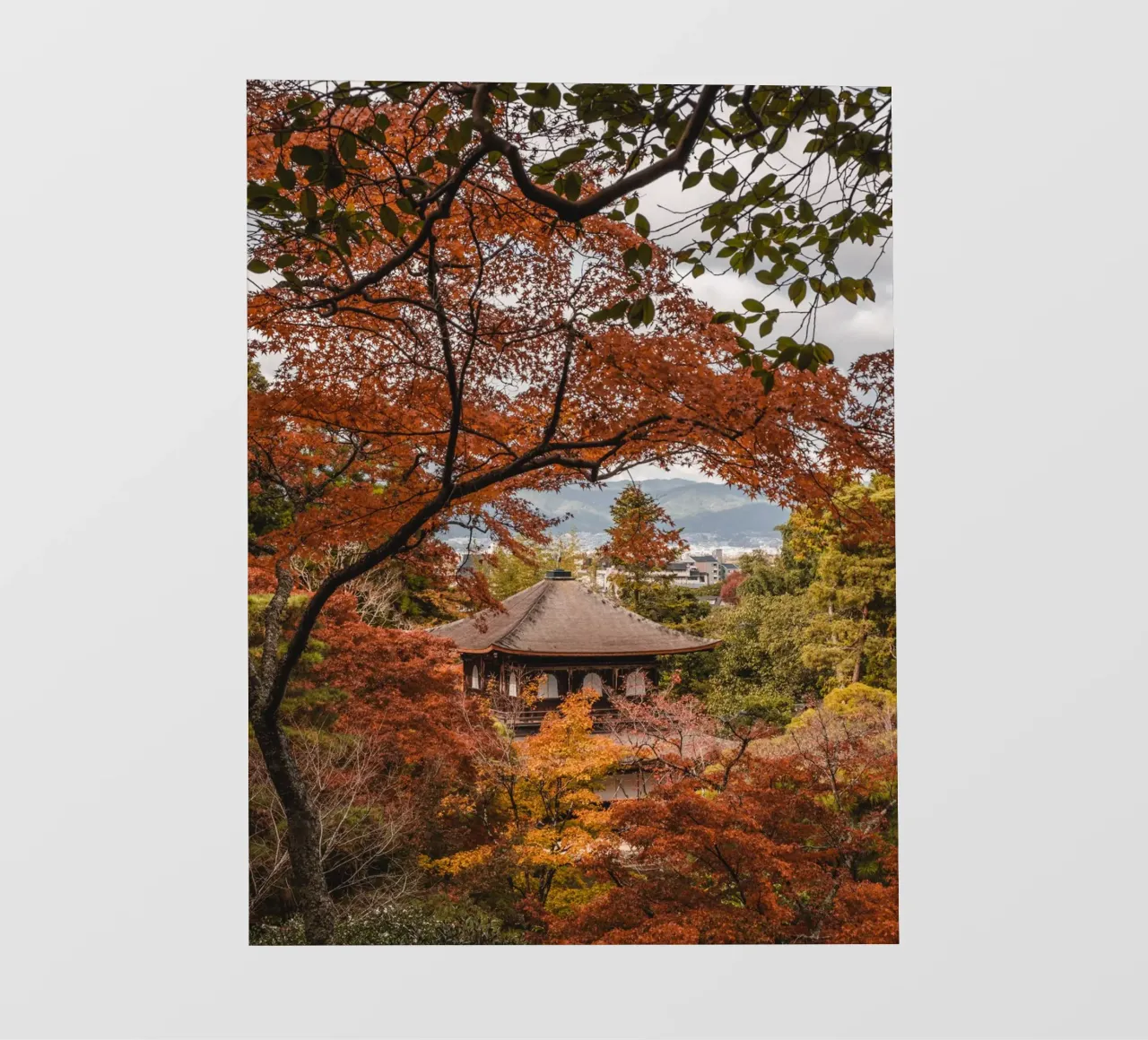 Tempio d'autunno a Kyoto, Giappone telo in pvc da Marcel Bisig