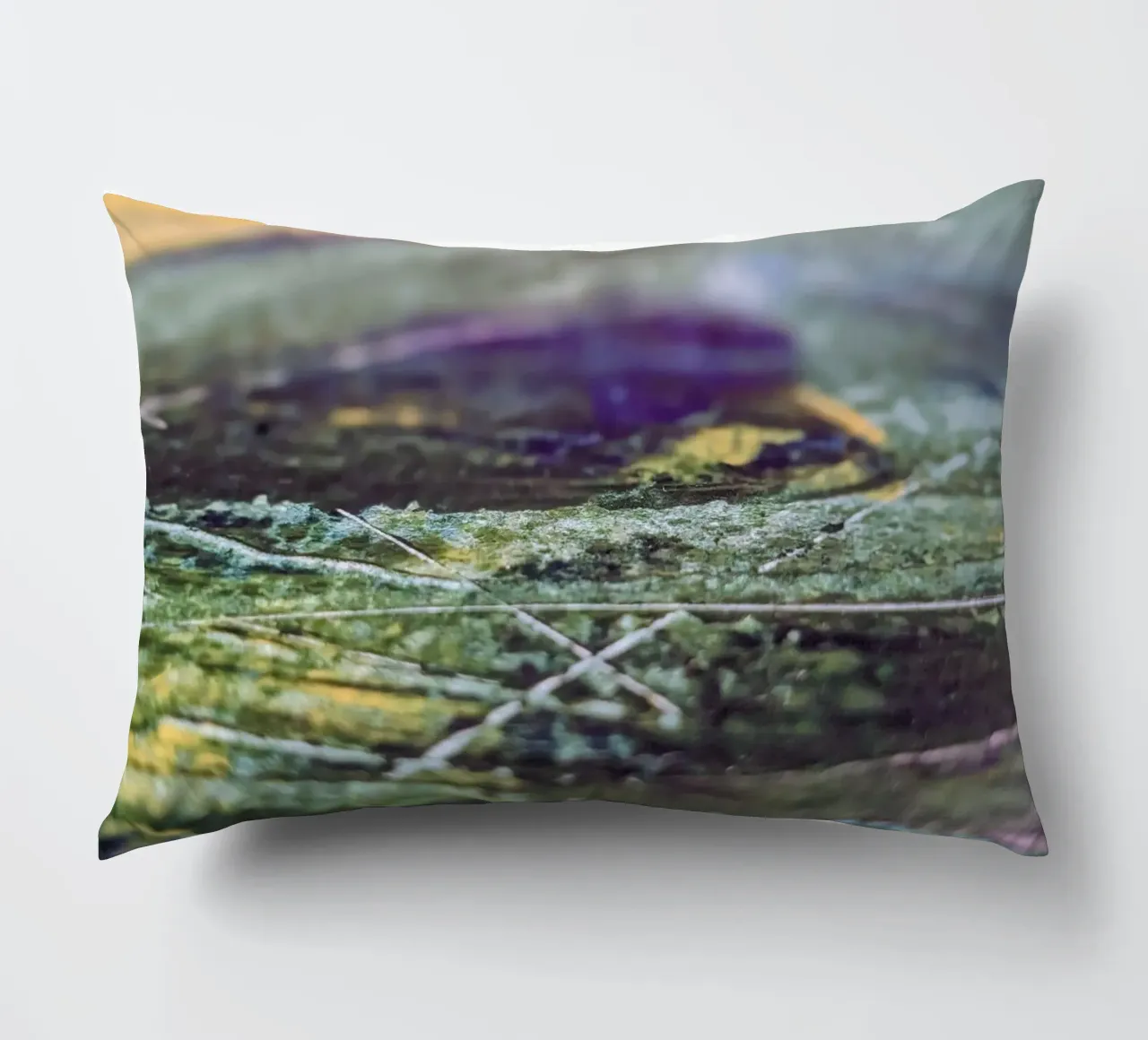 Zoom Lines decorative cushion by Pia