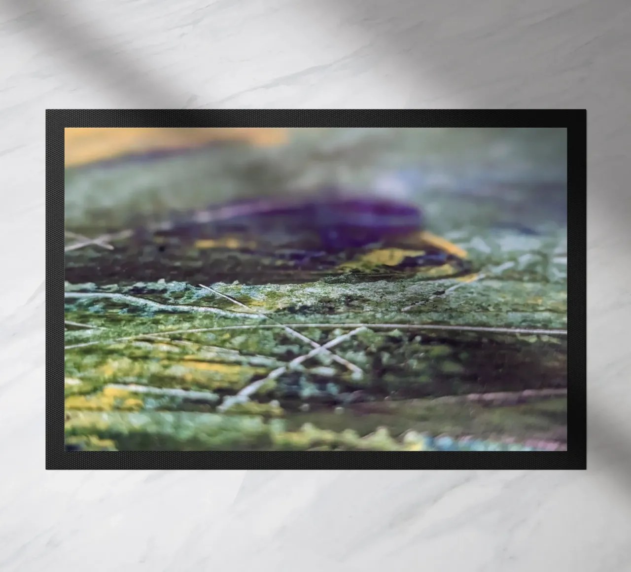 Zoom Lines zerbino da Lunaris