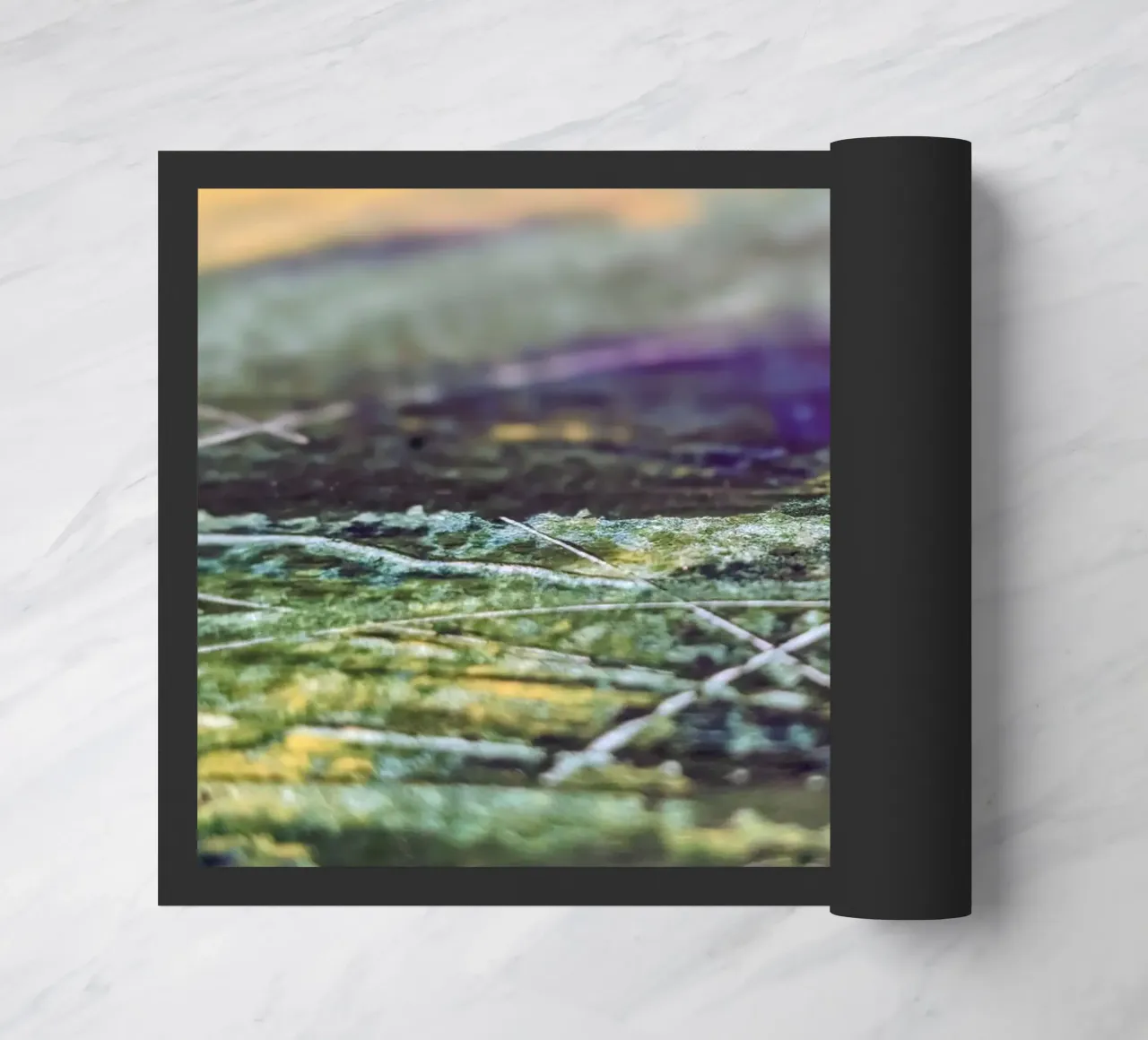 Zoom Lines zerbino da Lunaris