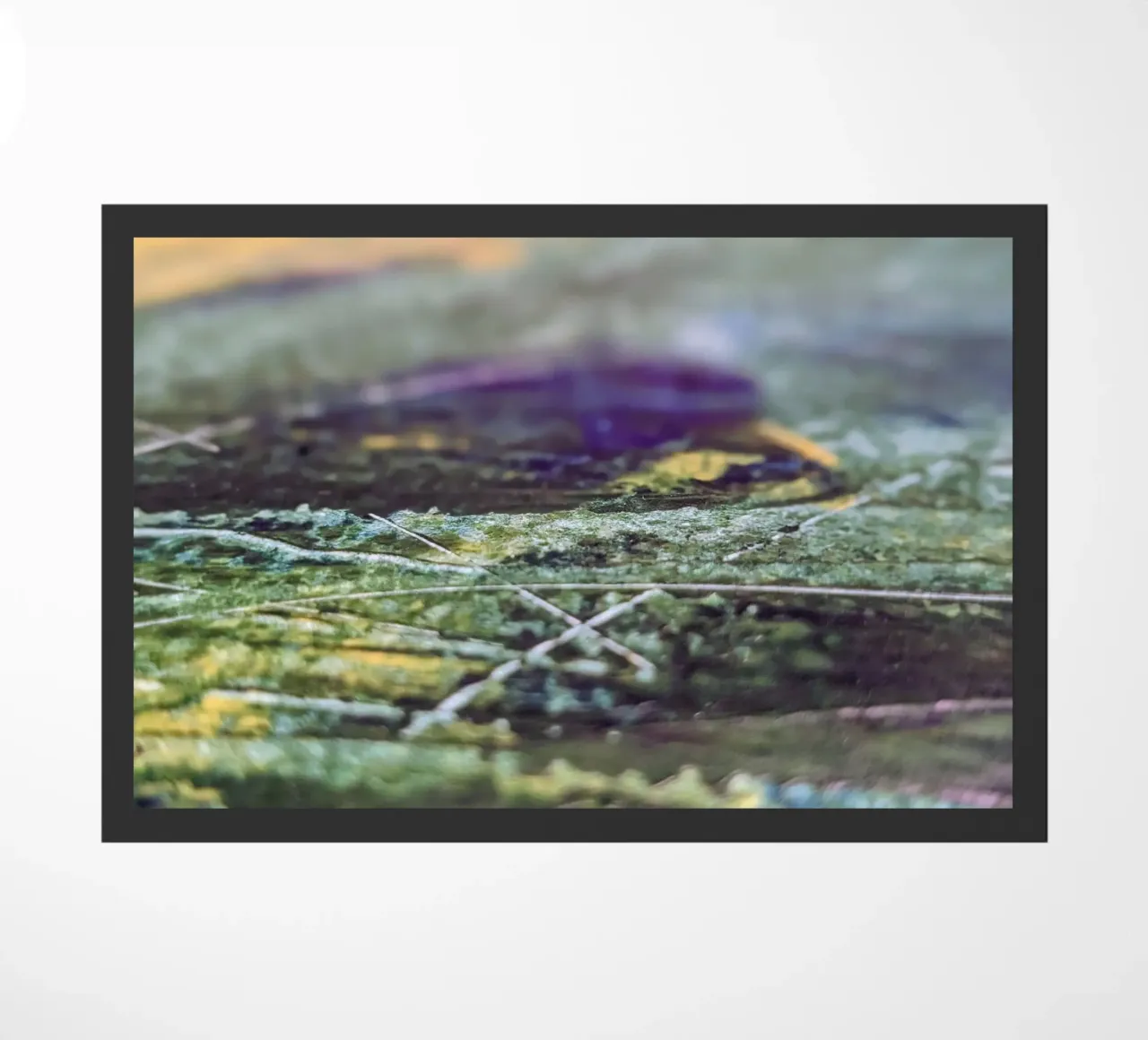 Zoom Lines zerbino da Lunaris