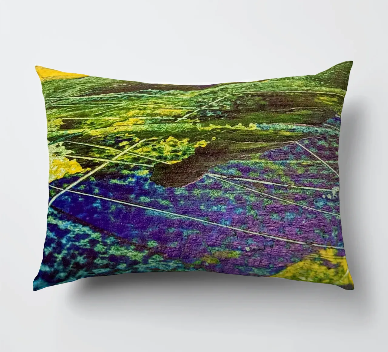 Lines at the Cross of Sea and Fields coussin de Pia