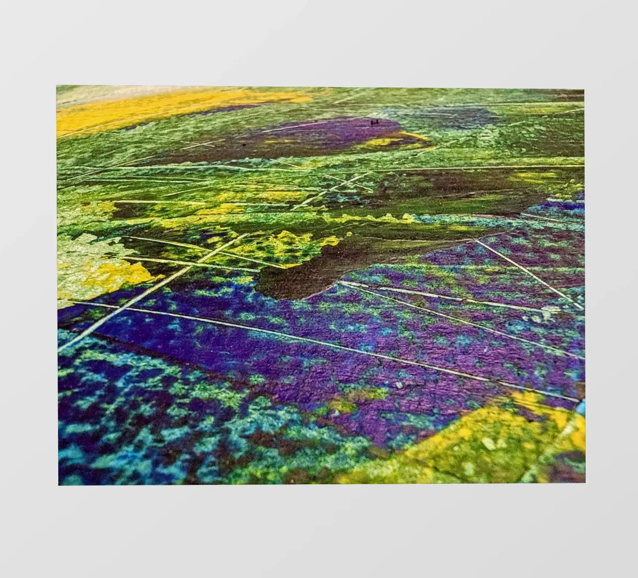 Lines at the Cross of Sea and Fields Backlit Folie von Pia