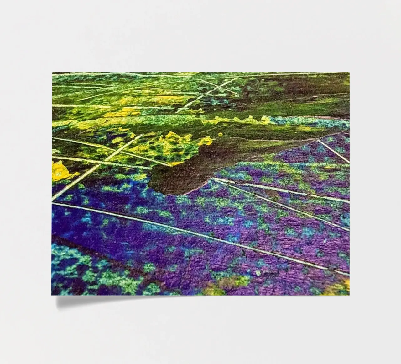 Lines at the Cross of Sea and Fields foglio adesivo da Pia