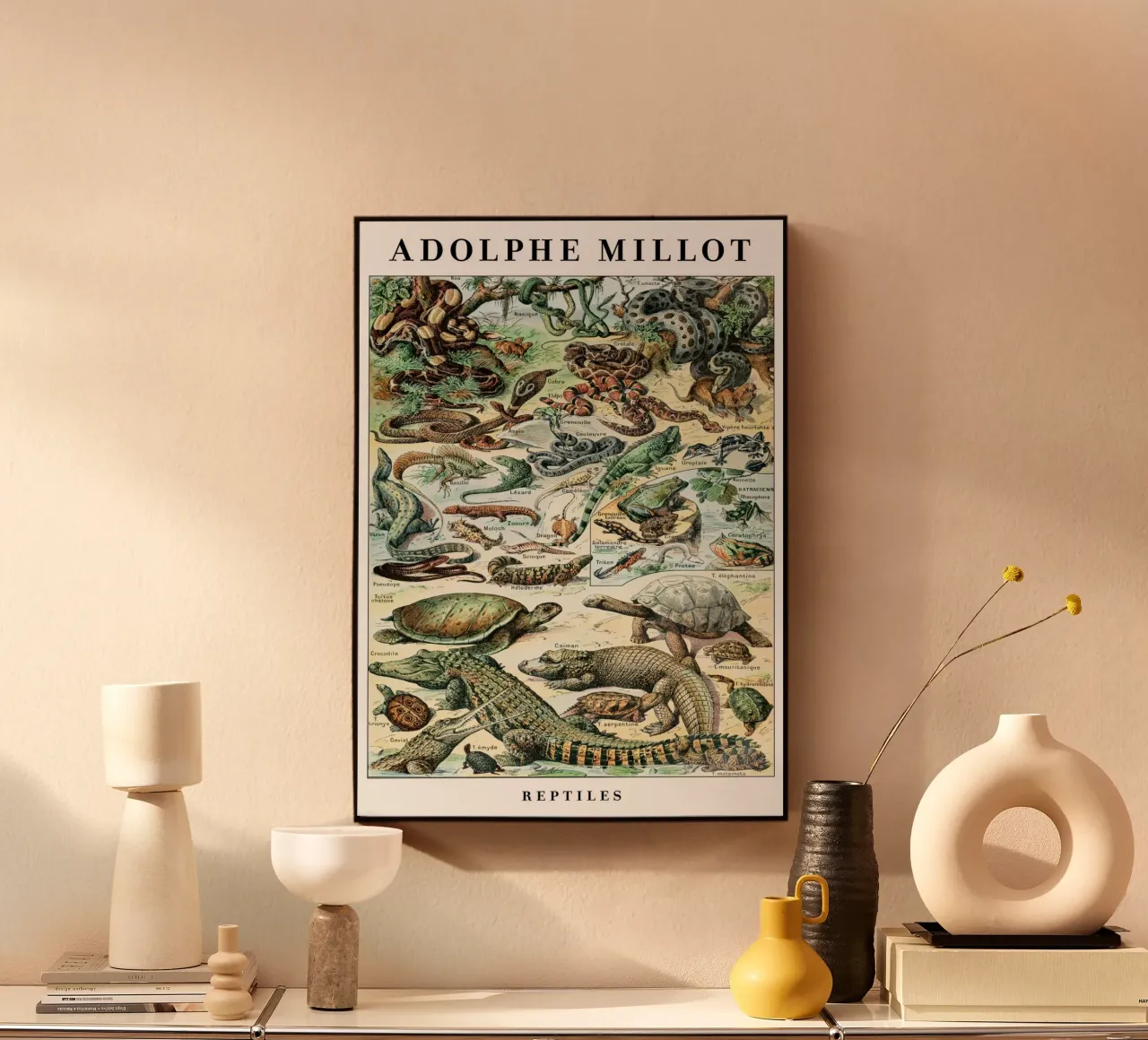 Rettili plexiglass da Rob Lewis