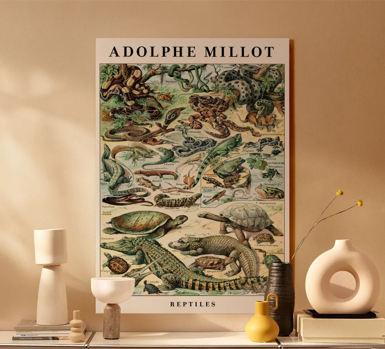 Rettili plexiglass da Rob Lewis