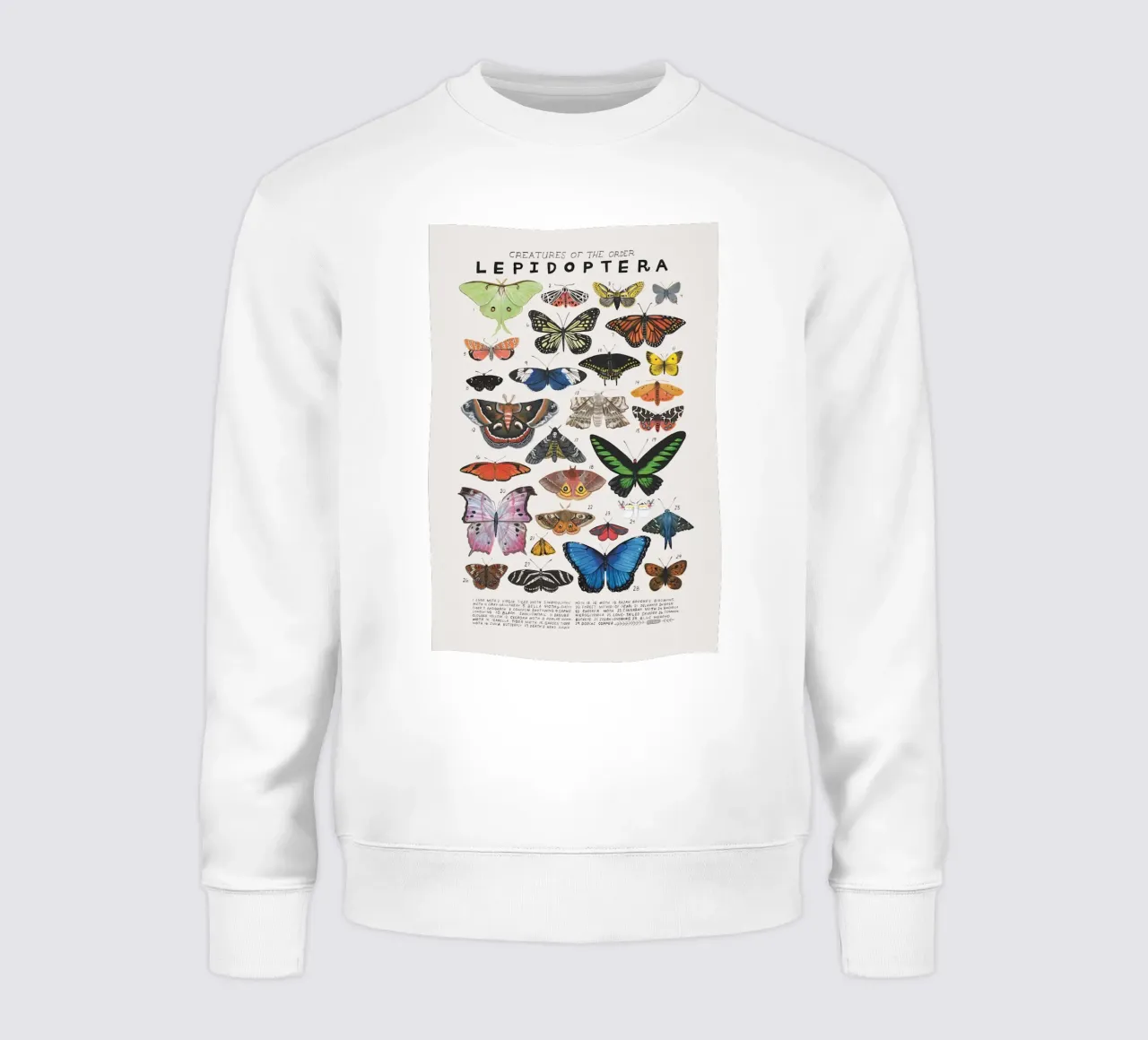 Lepidotteri felpa da Rob Lewis