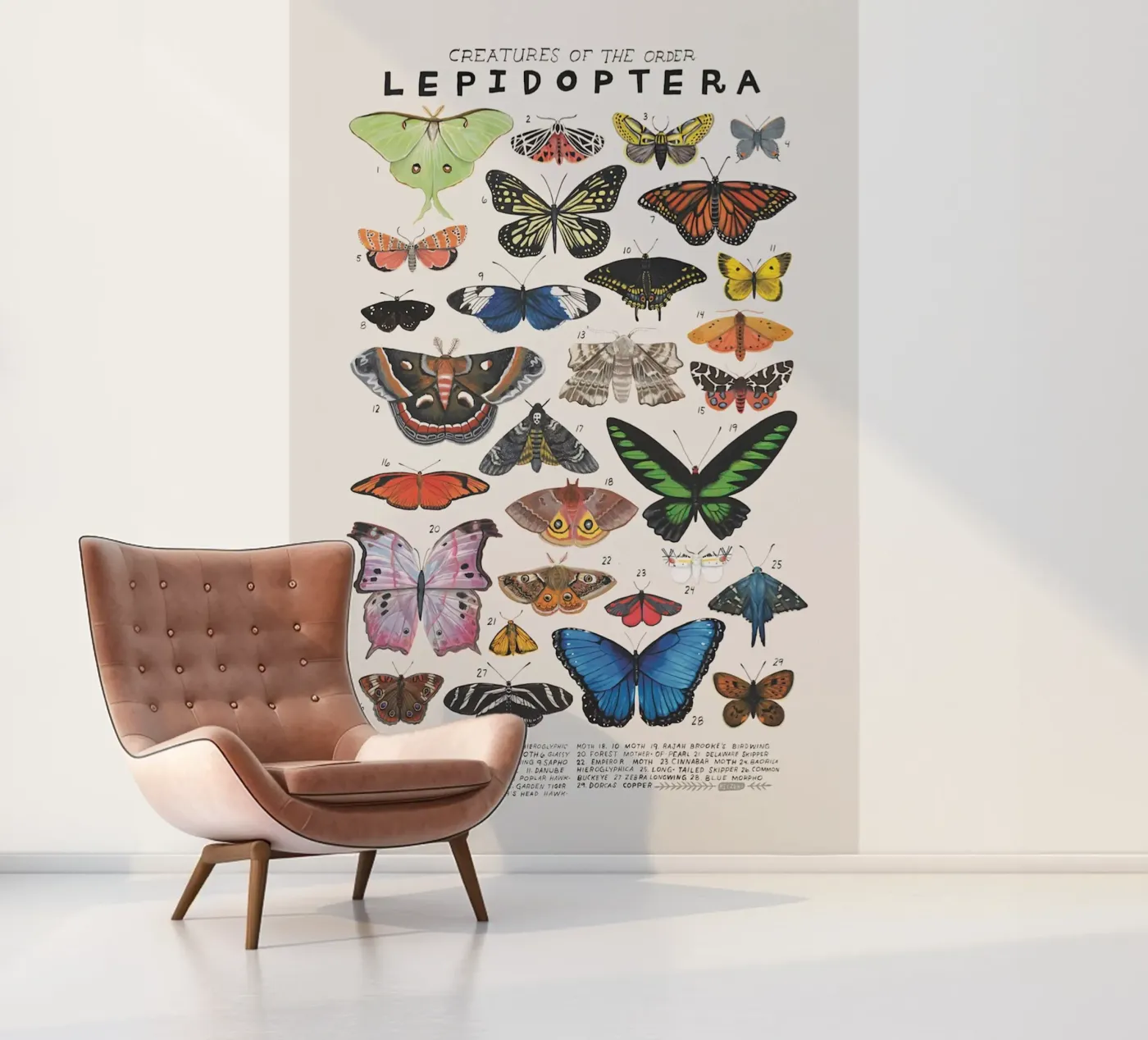 Lepidoptera fotobehang van Rob Lewis
