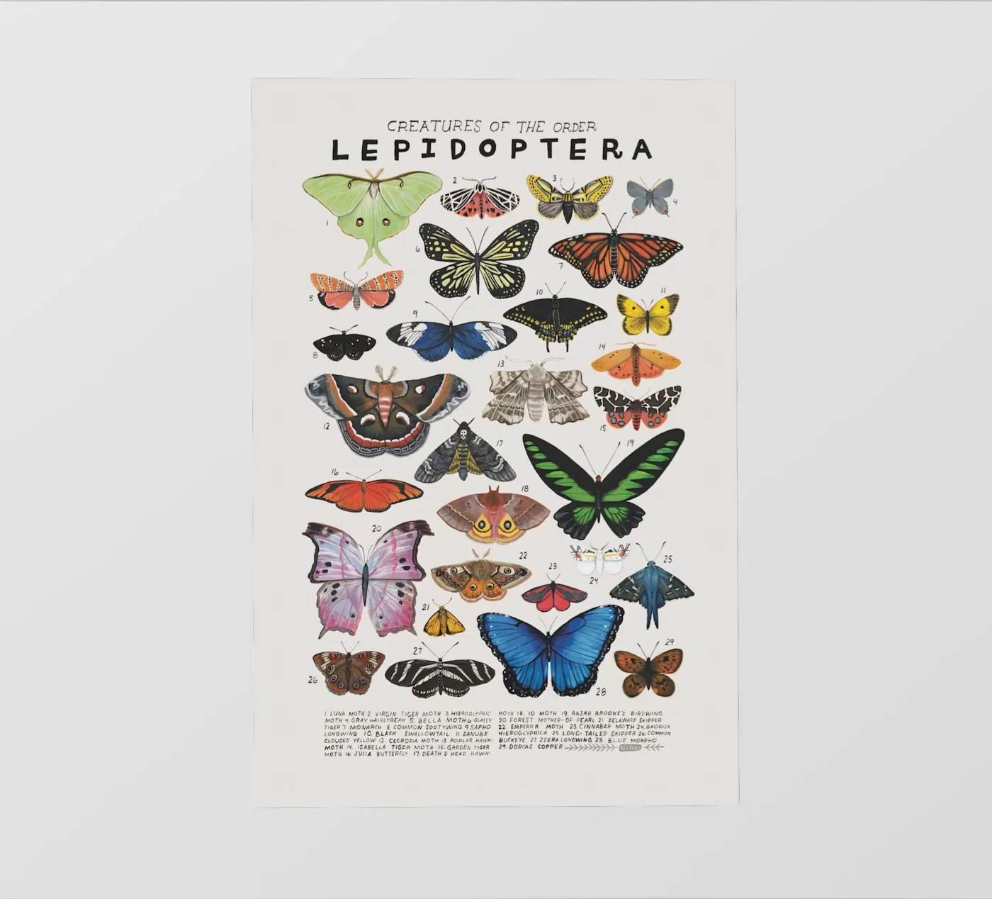 Lepidoptera fotobehang van Rob Lewis