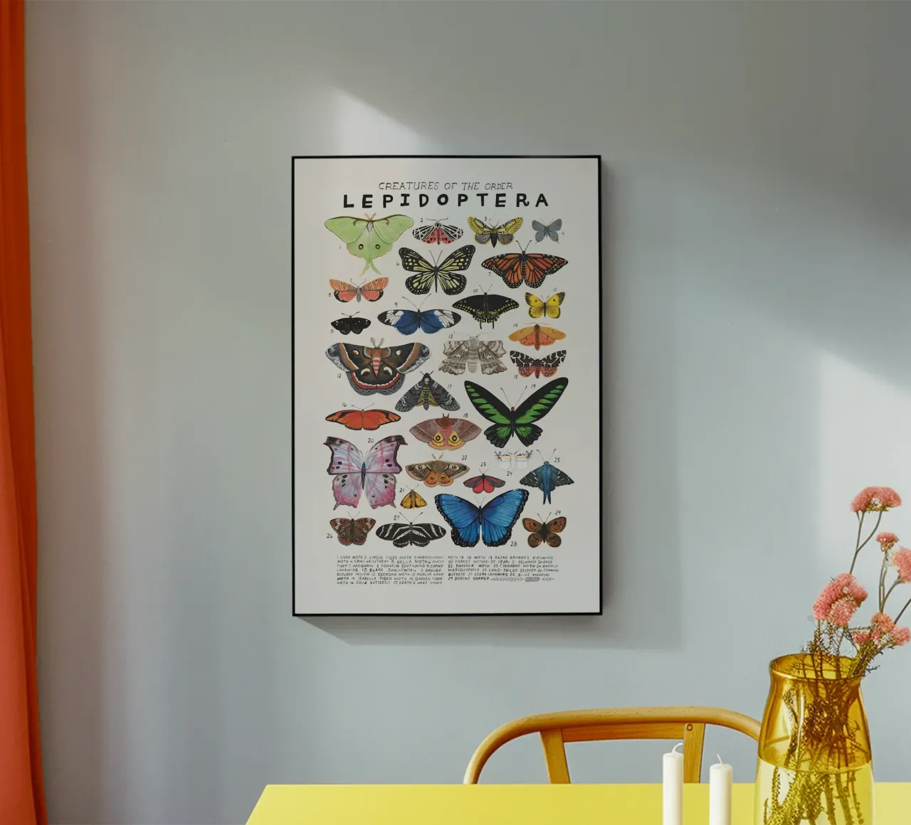 Lepidotteri plexiglass da Rob Lewis