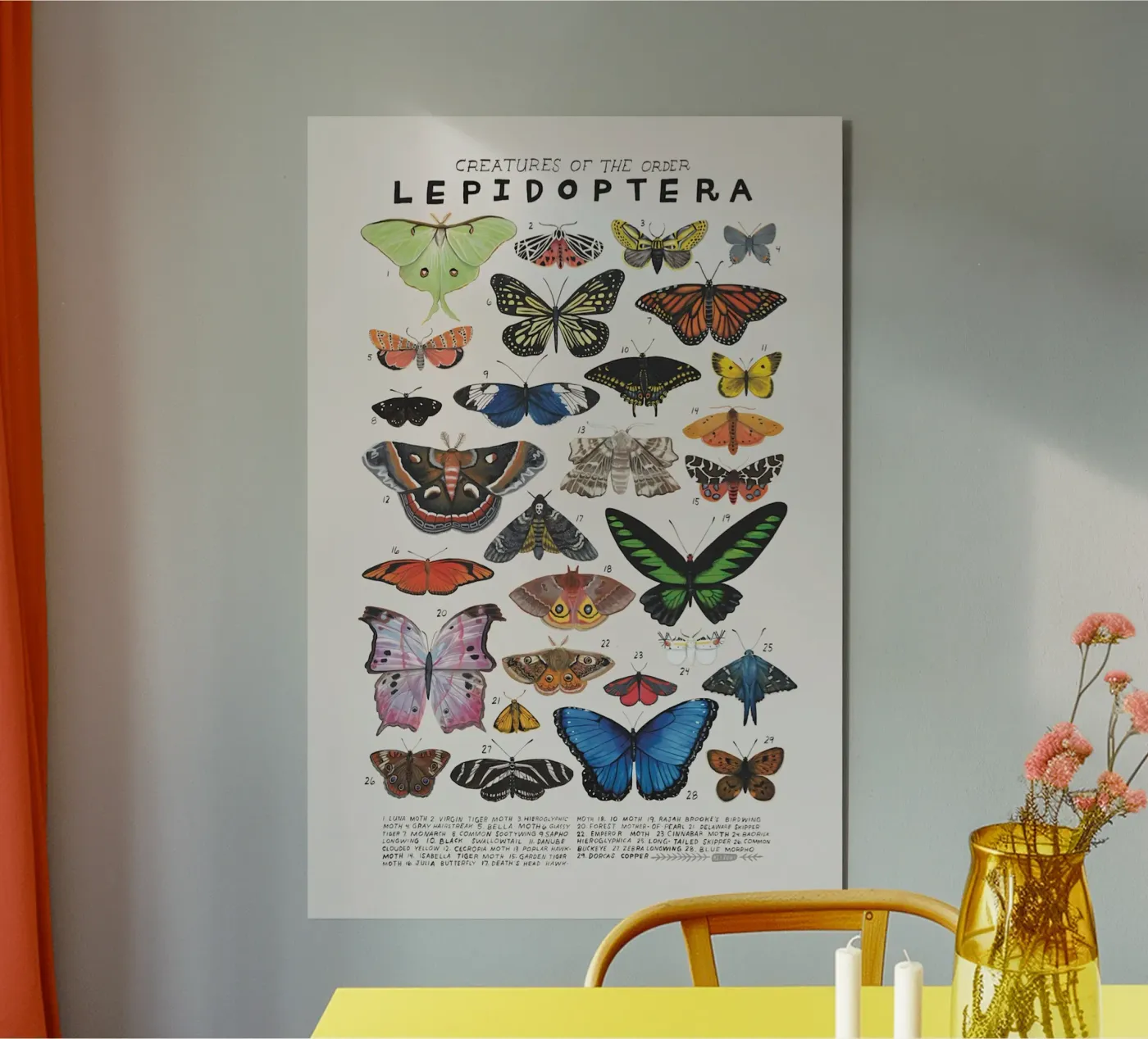 Lepidotteri pannello forex da Rob Lewis