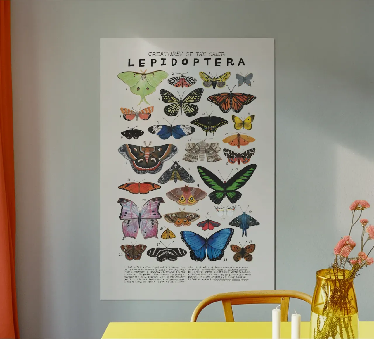 Lepidoptera poster by Rob Lewis
