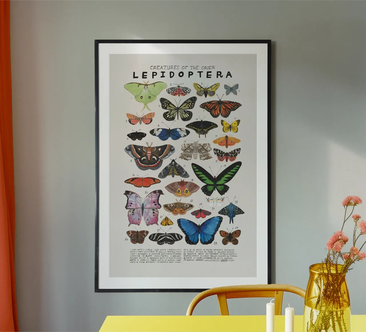 Lepidoptera poster by Rob Lewis