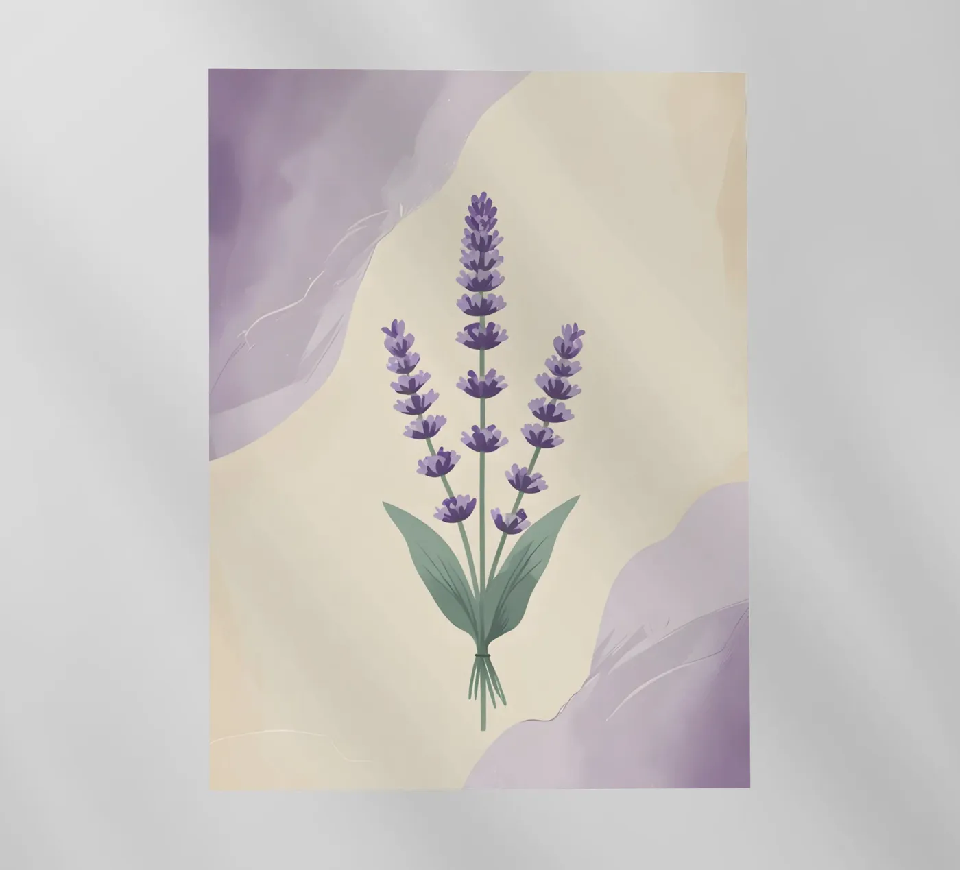 lavender vector pellicola backlit da botanical shop