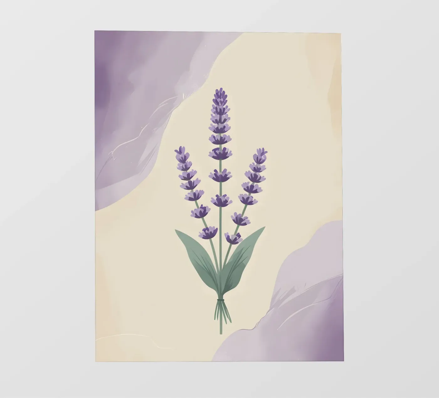 lavender vector pellicola backlit da botanical shop