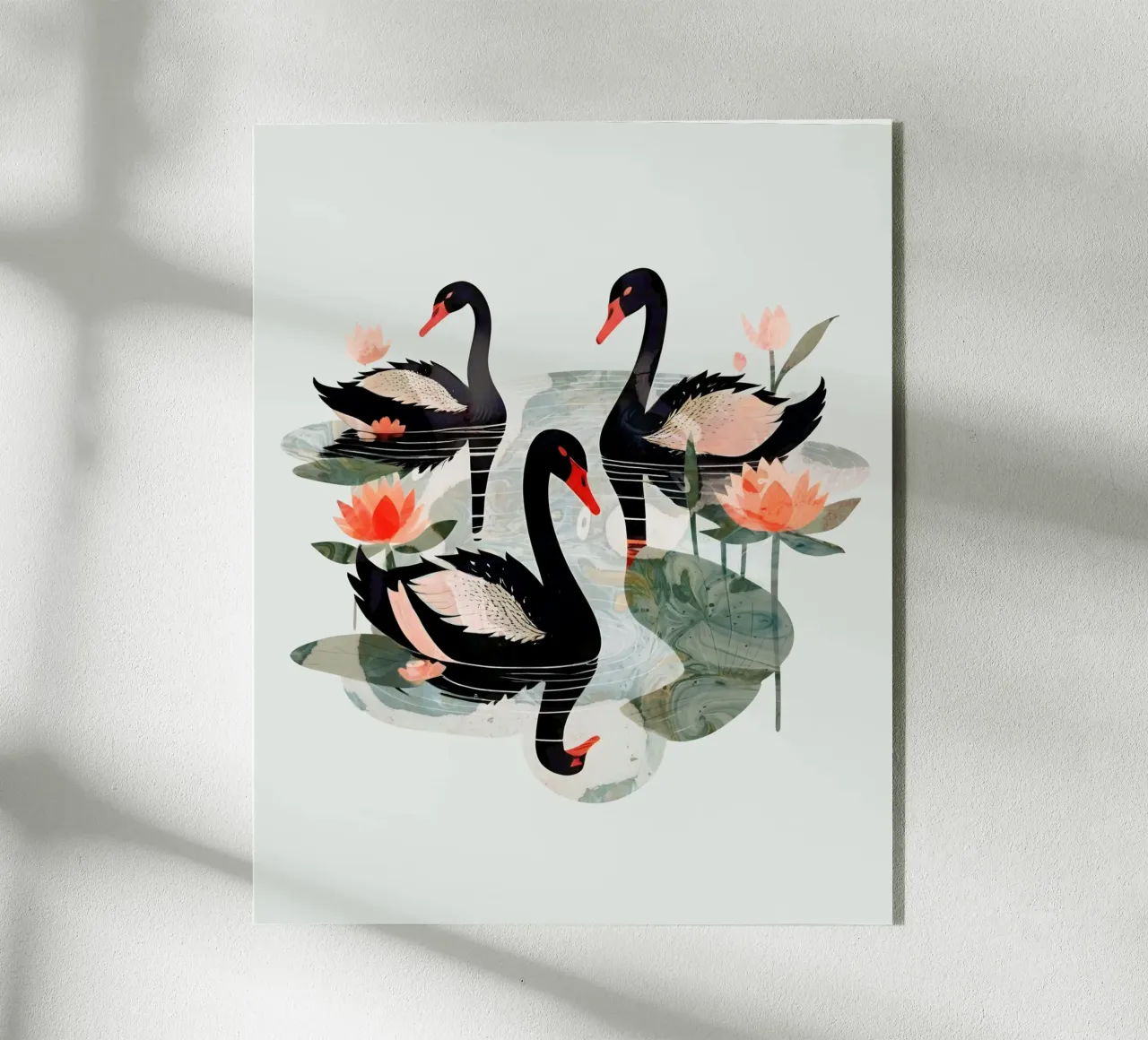 Cigni neri plexiglass da 83oranges.com