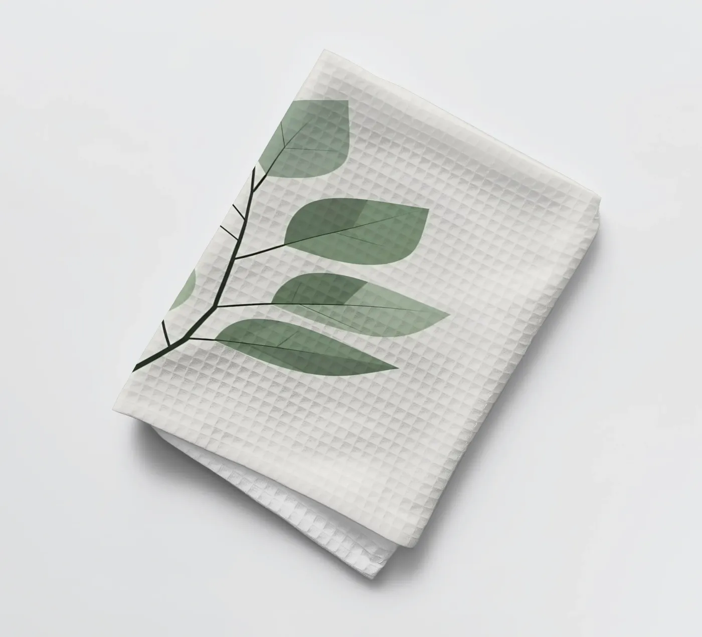 vector leaf torchon de botanical shop