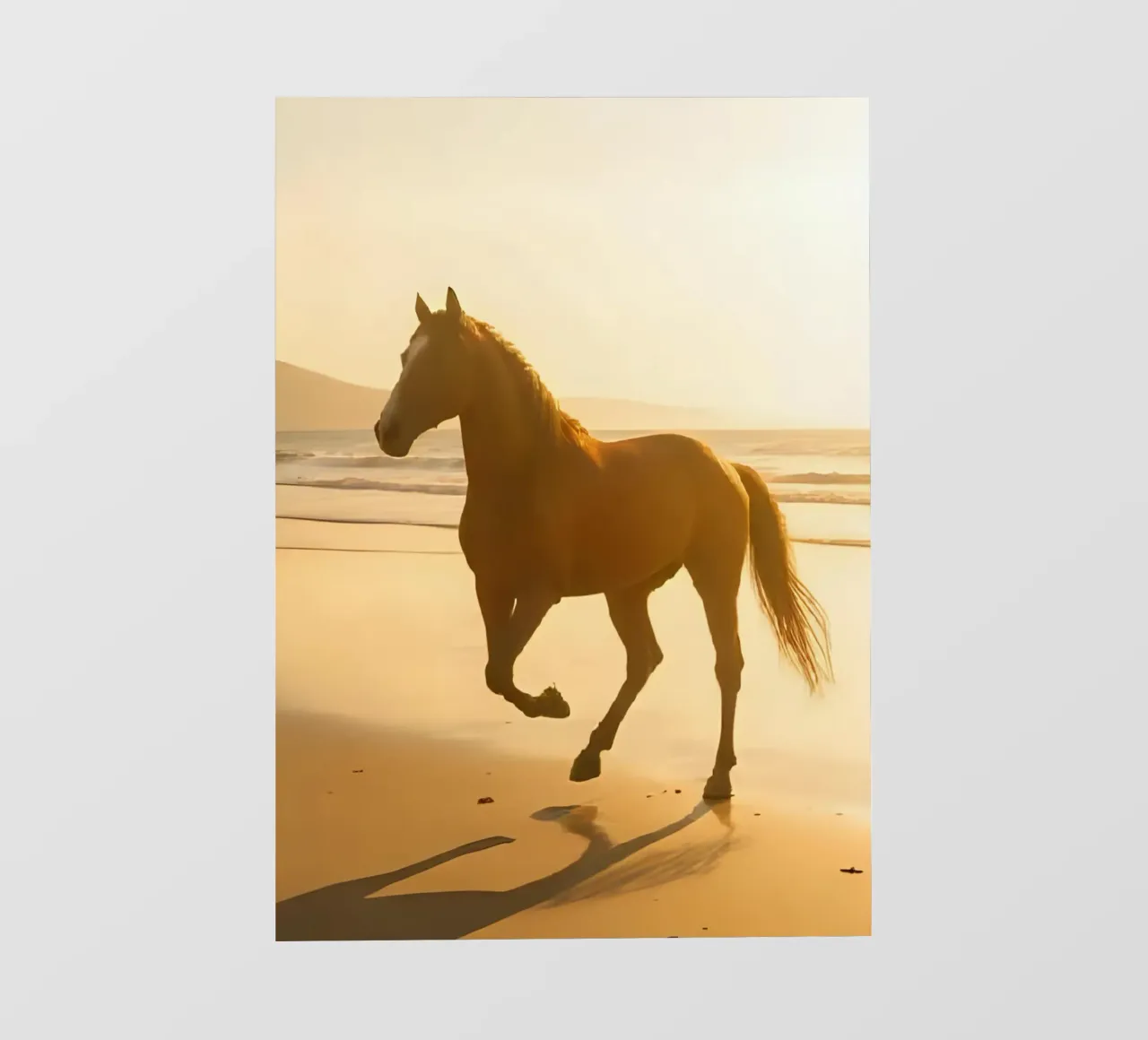 Pferd am Strand pellicola backlit da Poster Dreams