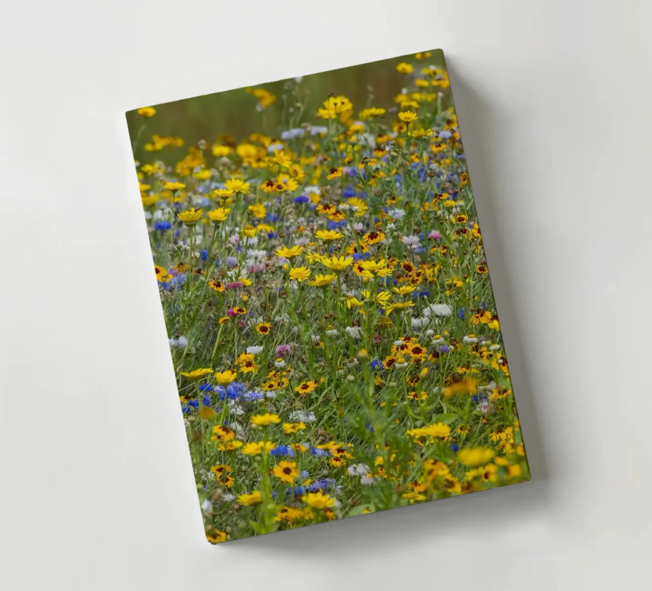 Flower filed with bright wild flowers notebook by Curious Collections by Marielle Leenders